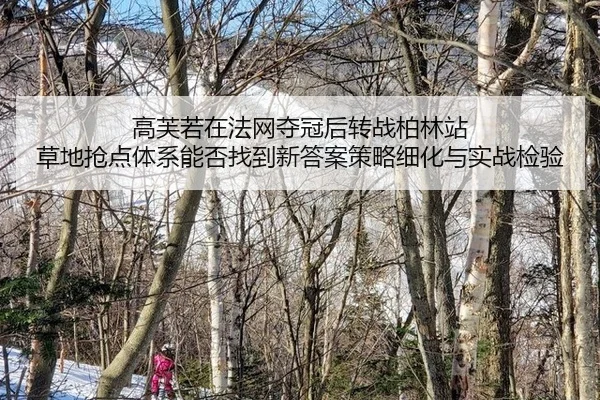 高芙若在法网夺冠后转战柏林站 草地抢点体系能否找到新答案策略细化与实战检验
